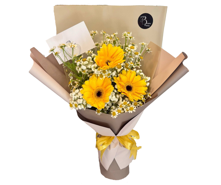 Gerbera Trio — photo 2