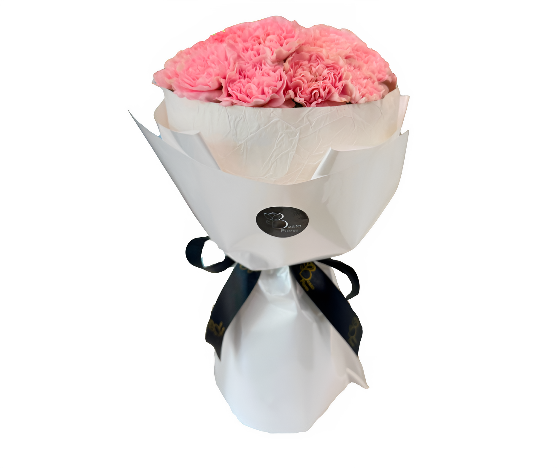 Carnation Perfection — photo 2