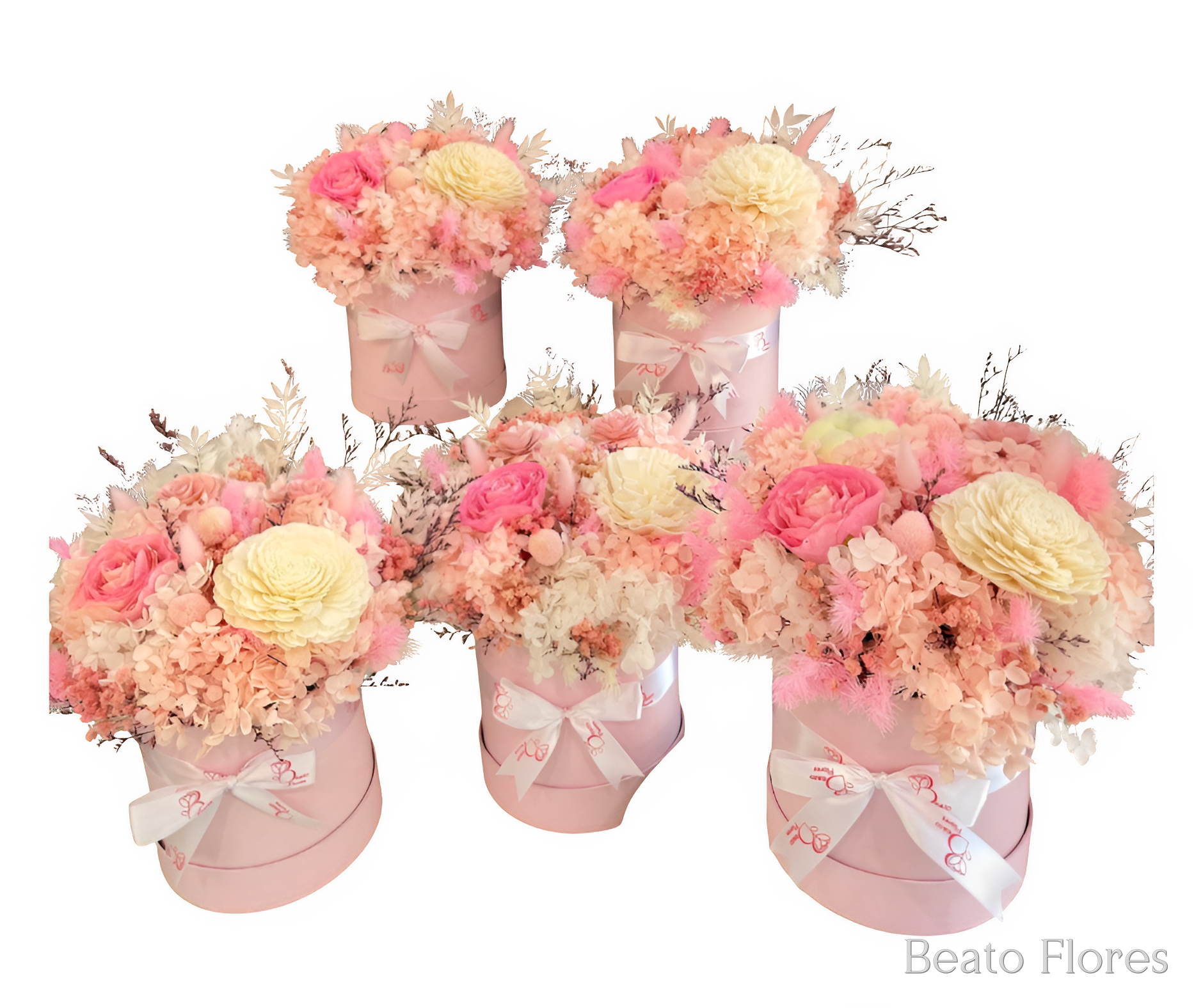 Bloom Box Collection