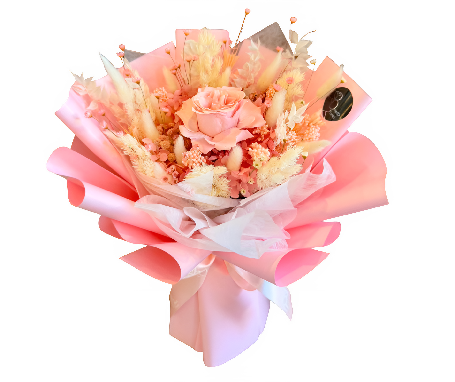 Aurora Blush