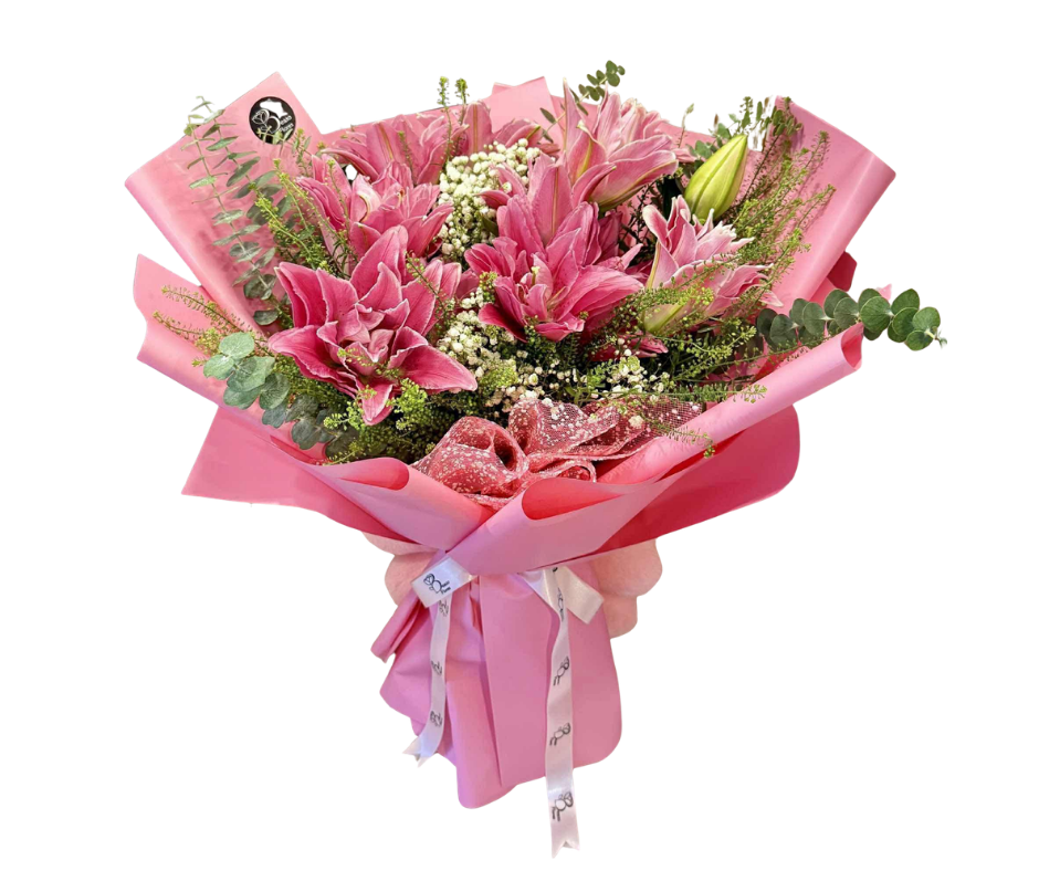 Prima Donna Lily
