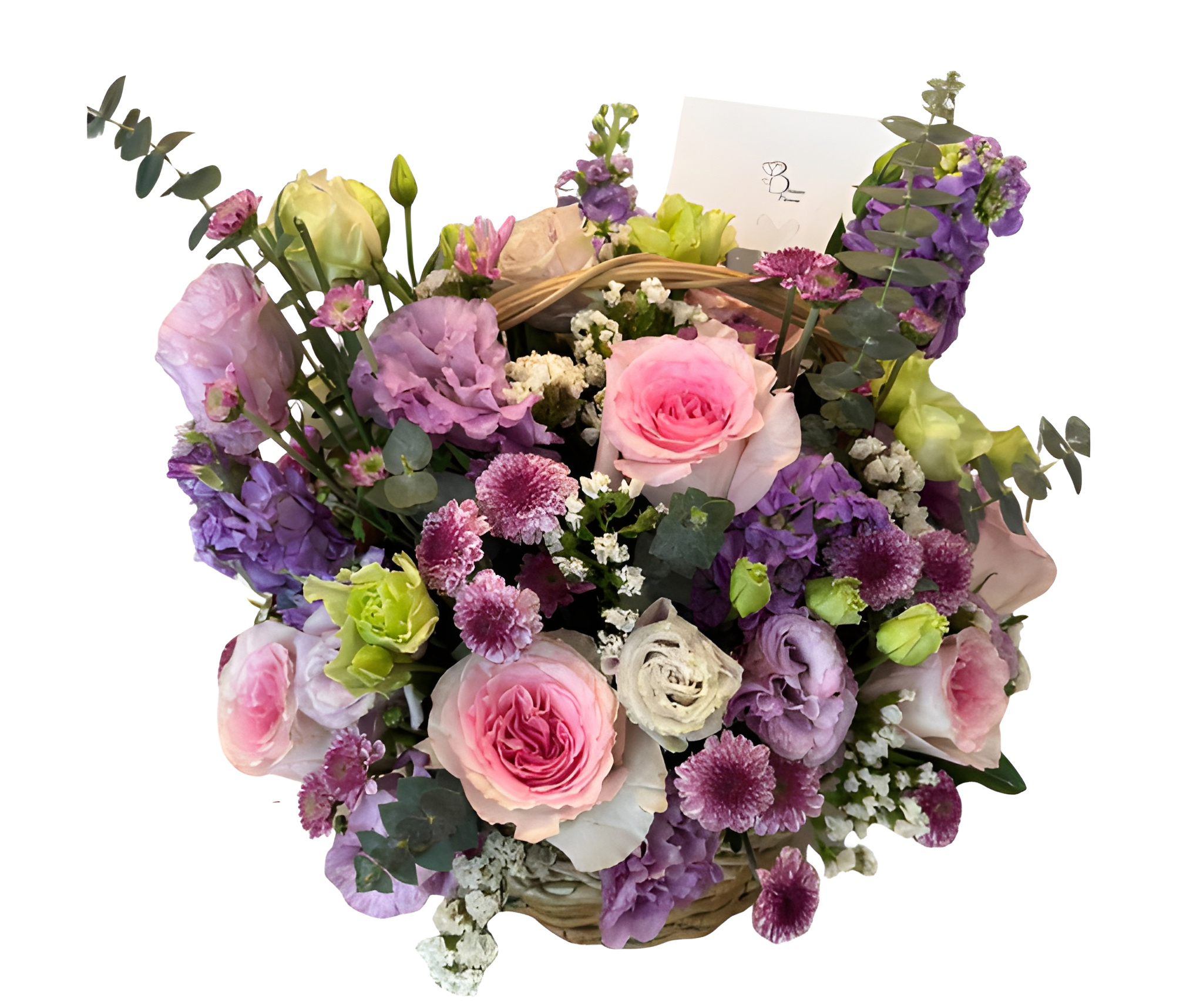 Lilac Provincial