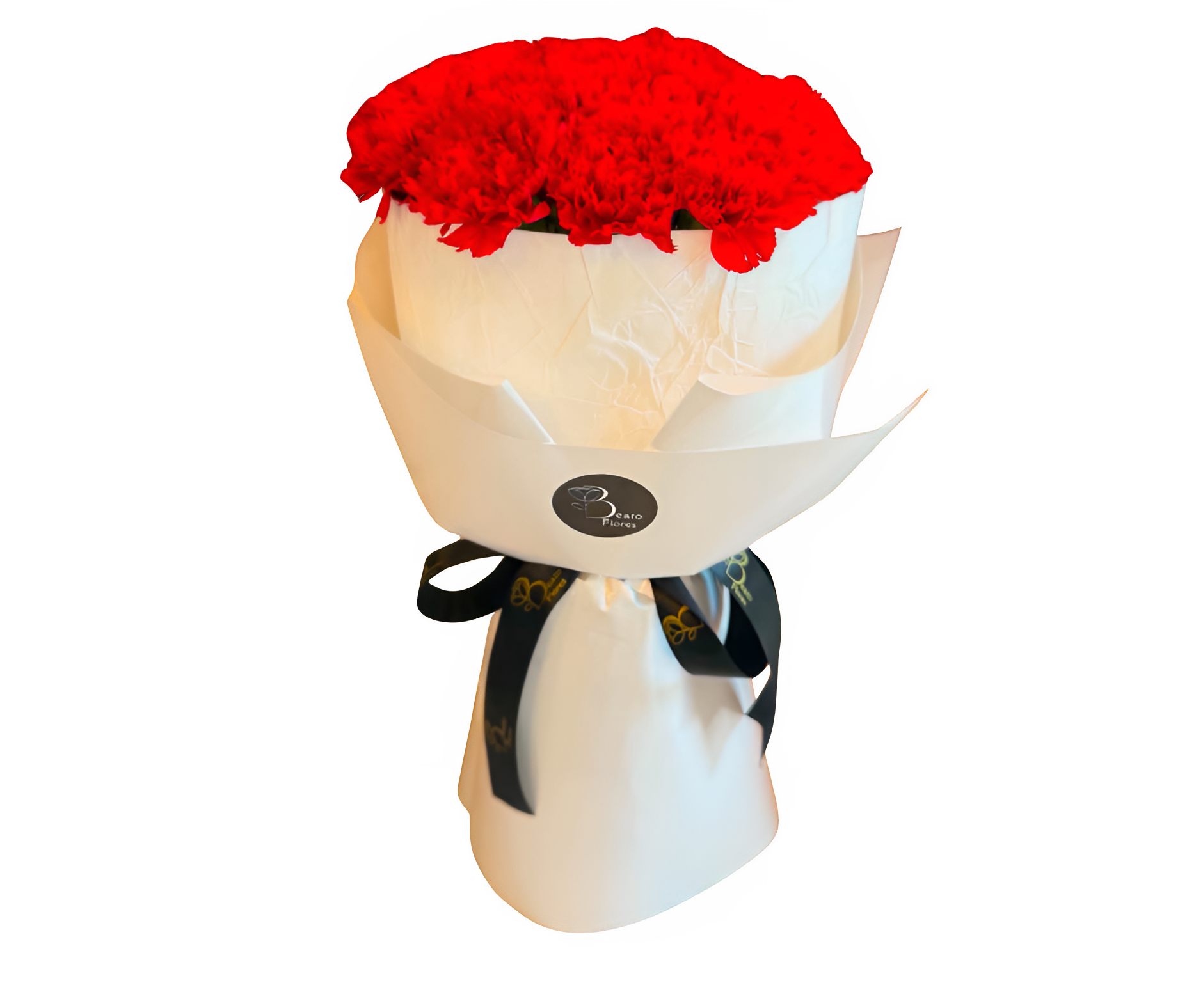 Carnation Perfection